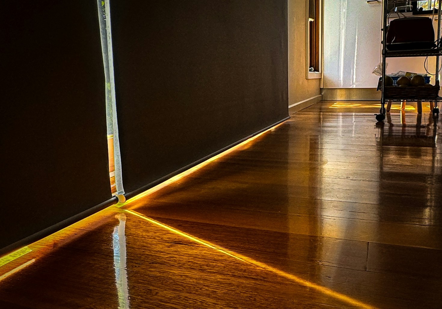 Mauricio Marchand’s Top Flooring Picks for 2023